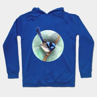 Superb Blue Fairy-Wren by Nadya Neklioudova Hoodie